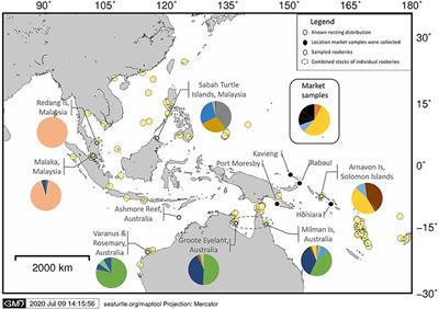 Mitochondrial DNA Profiling to Combat the Illegal Trade in Tortoiseshell Products